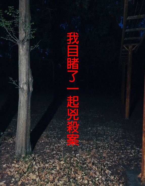 我目睹了一起兇殺案