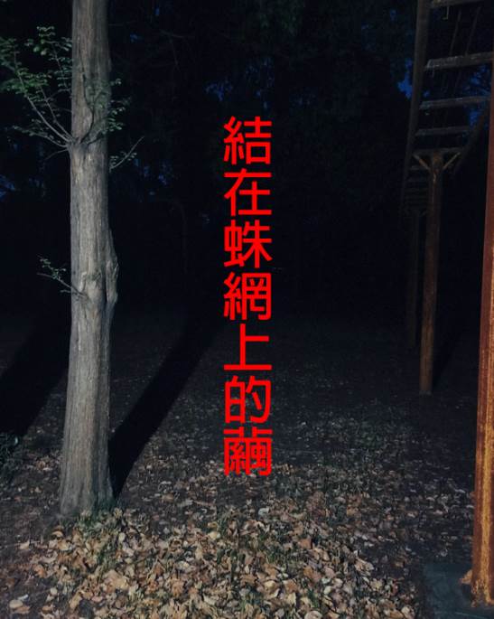 結在蛛網上的繭