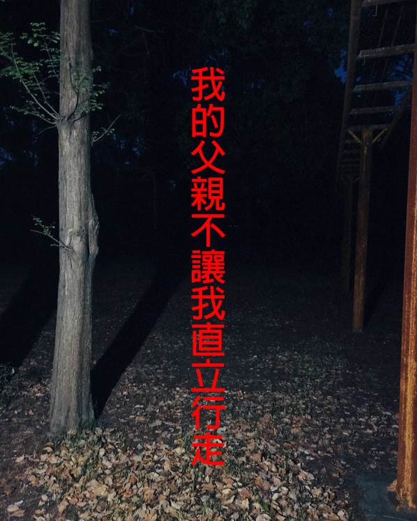 我的父親不讓我直立行走